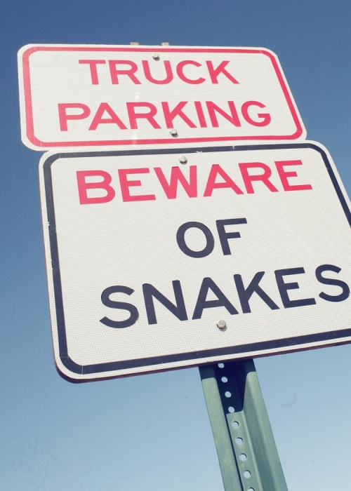 beware of snakes.jpg